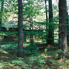 Conservation Commission/Planning Board Consultation