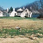 Real Estate Consulting