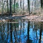 Wetland Delineations & Permitting & Compliance