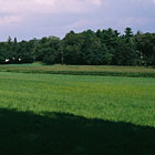 Land Conservation